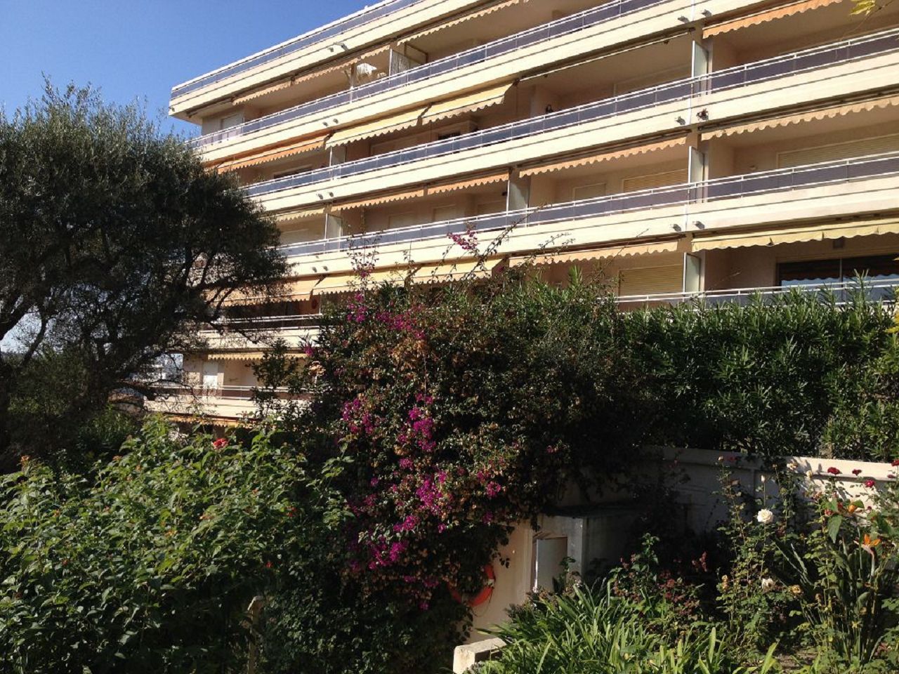 Appartement Studio JUAN LES PINS (06160) AZUR CONCEPT GESTION