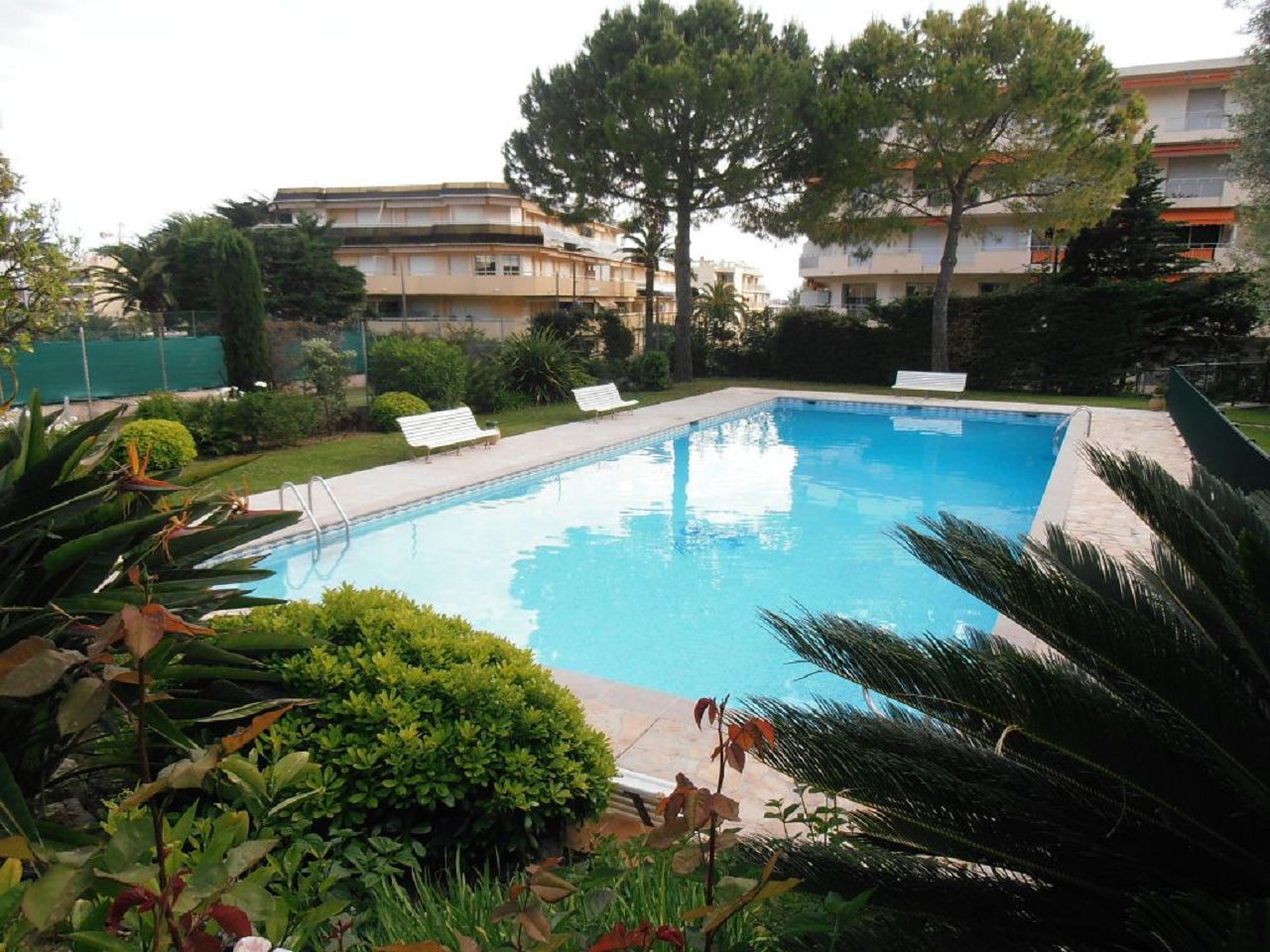 Appartement Studio JUAN LES PINS (06160) AZUR CONCEPT GESTION