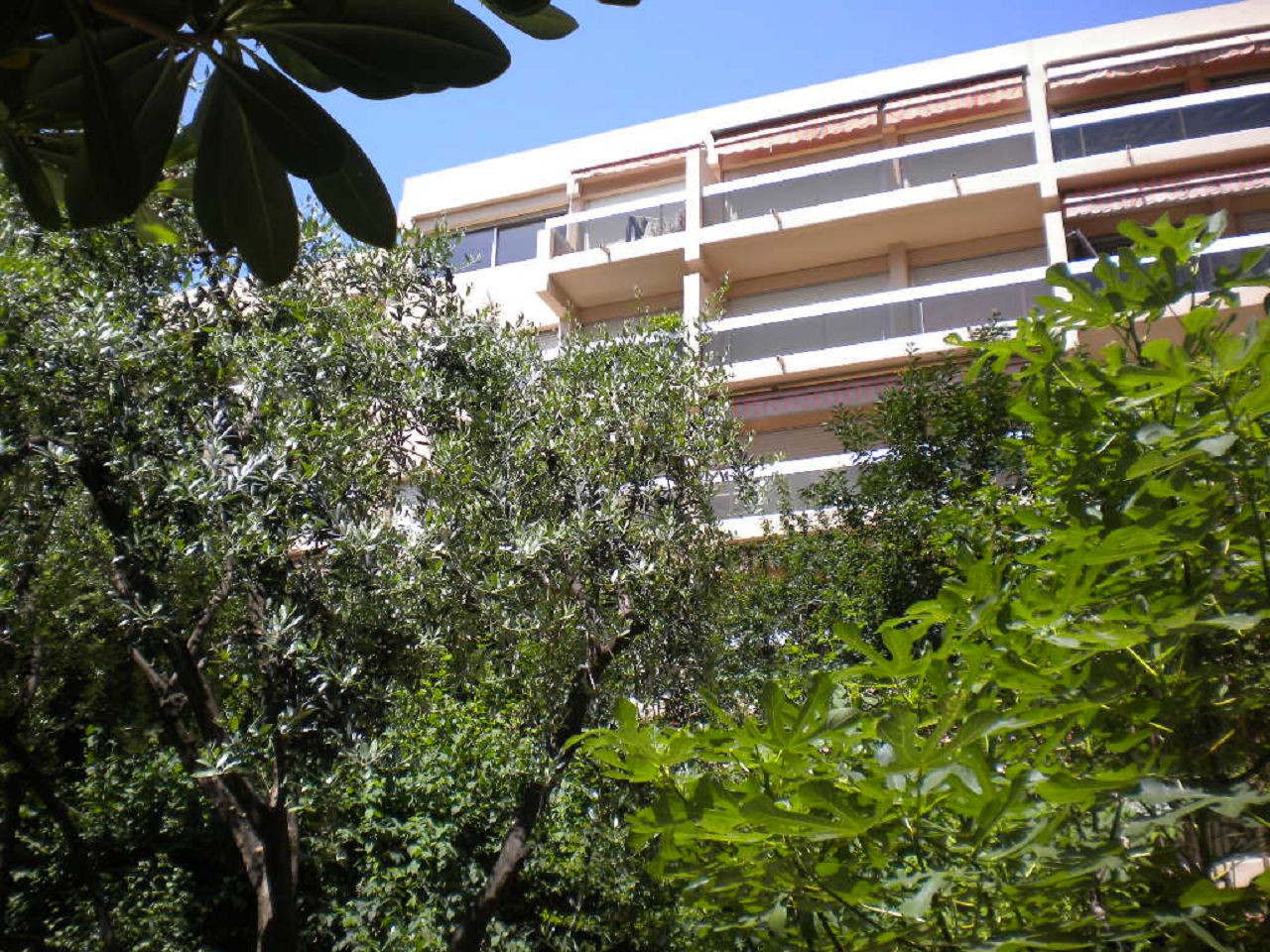 Appartement T2 JUAN LES PINS (06160) AZUR CONCEPT GESTION
