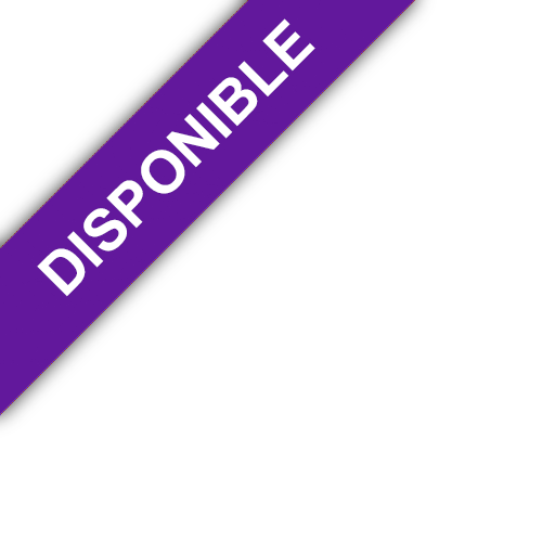 bandeau AZUR CONCEPT GESTION